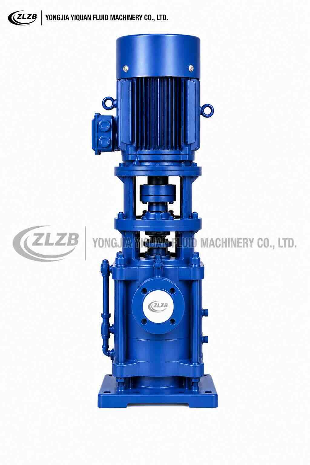 DL vertical multistage pump product view with flanged connection